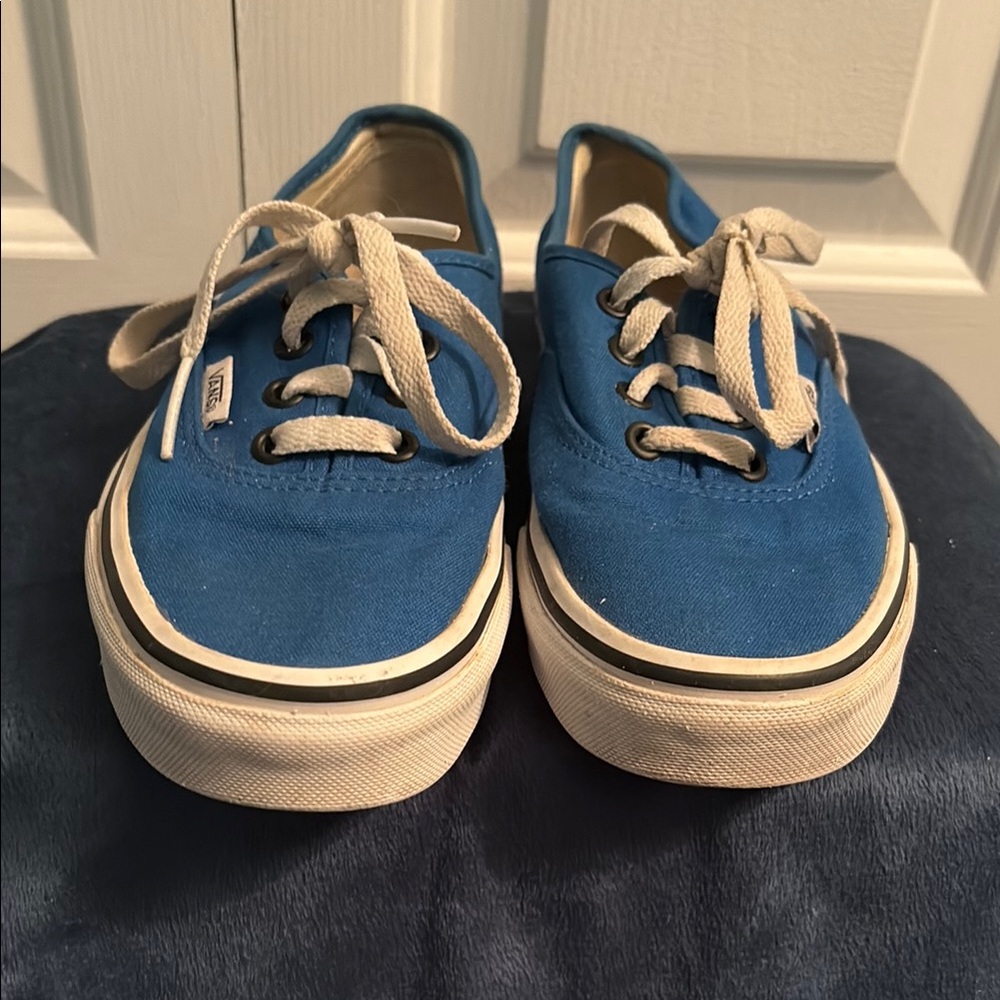 Vans Royal Blue Skate Sneakers